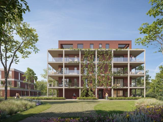 Appartement vente à Schelle, Antwerpen