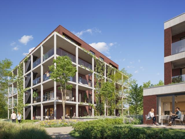 Appartement vente à Schelle, Antwerpen
