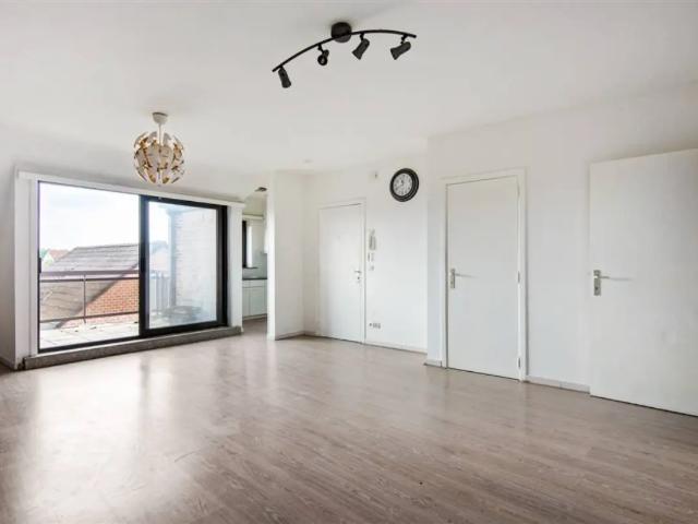 Appartement vente à Tamise, Oost-Vlaanderen