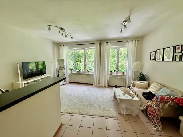 Appartement vente à Tervueren, Brabant