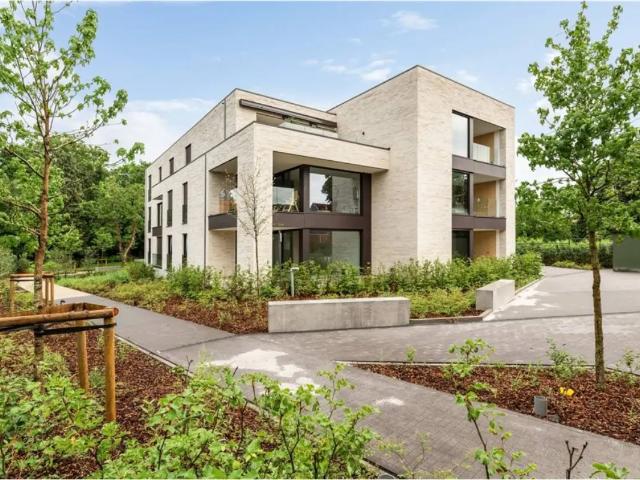 Appartement vente à Ham, Limburg