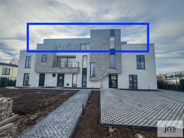 Appartement vente à Wellen, Limburg