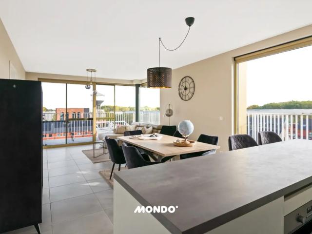 Appartement vente à Willebroek