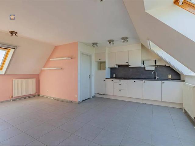 Appartement vente à Willebroeck, Antwerpen