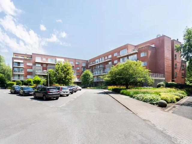Appartement vente à Antwerpen