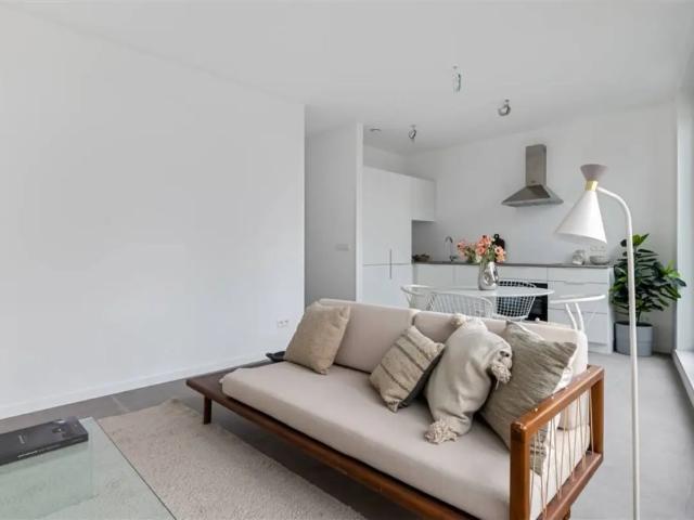 Appartement vente à Wommelgem
