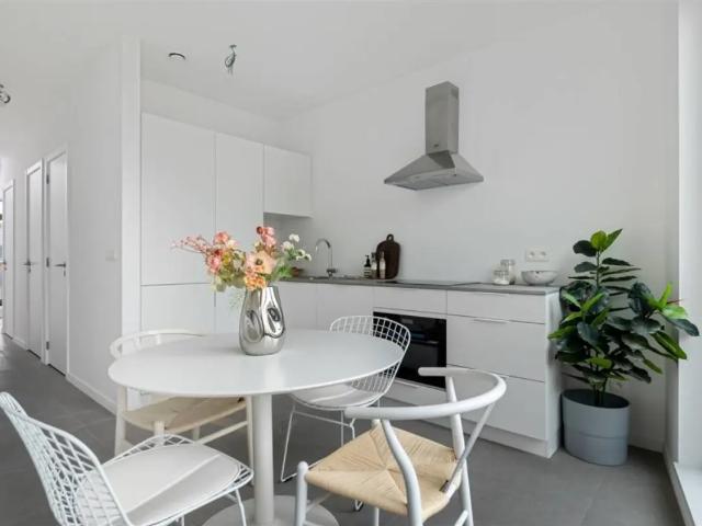 Appartement vente à Wommelgem