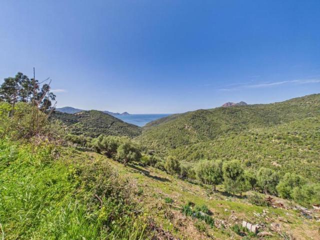 Maison vente à Ajaccio, Partinello