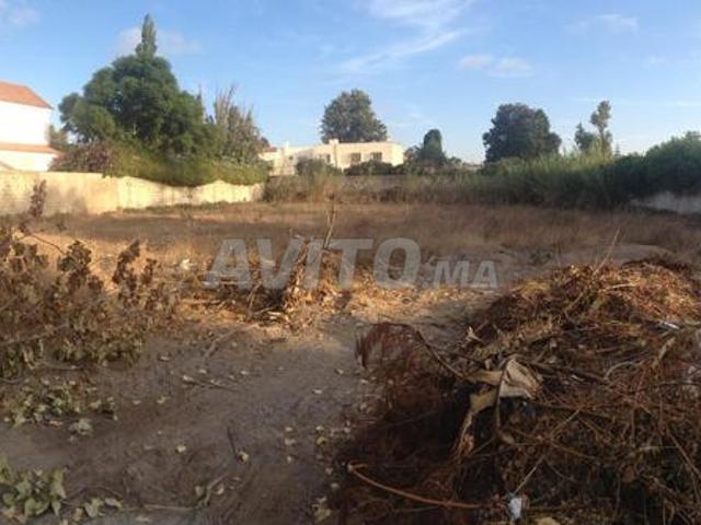 Propriété vente à Arrondissement Souissi مقاطعة السويسي, Rabat ⵔⴱⴰⵟ الرباط