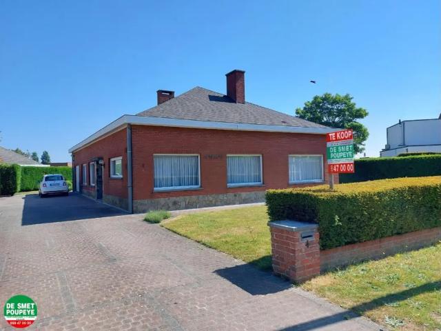 Chalet vente à Blankenberghe, West-Vlaanderen