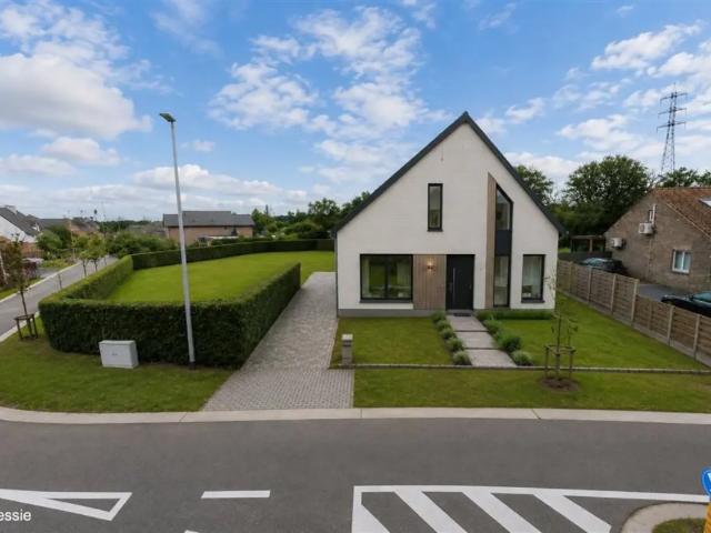 Chalet vente à Hasselt, Limburg