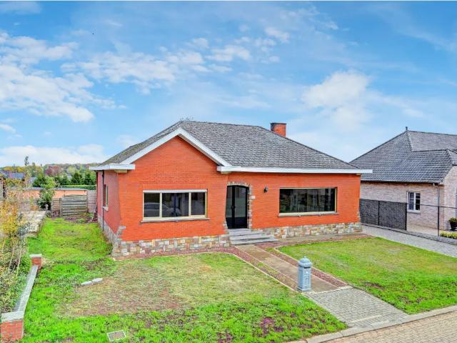 Chalet vente à Montaigu-zichem, Brabant