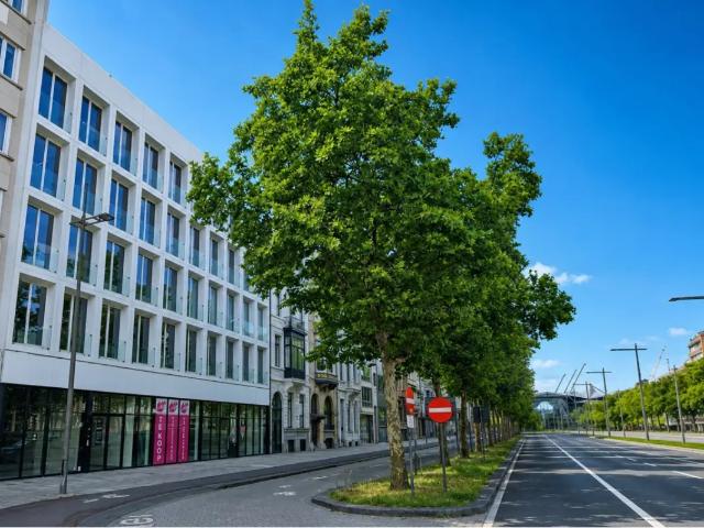 Bureau vente à Antwerpen