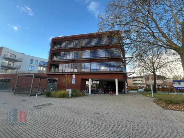 Bureau vente à Hamme, Oost-Vlaanderen