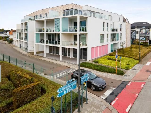 Bureau vente à Montaigu-zichem, Brabant