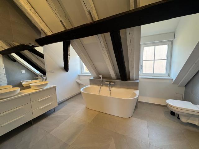 Appartement vente à Strasbourg, Hoenheim