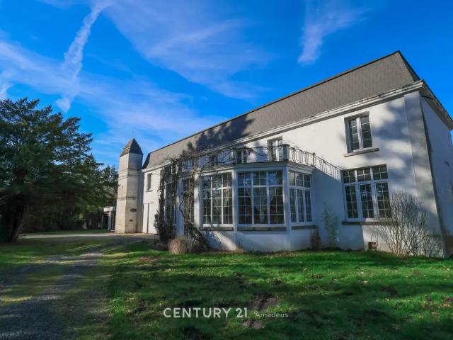 Château vente à Erbisoeul, Wallonie