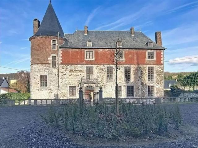 Château vente à Flémalle, Wallonie