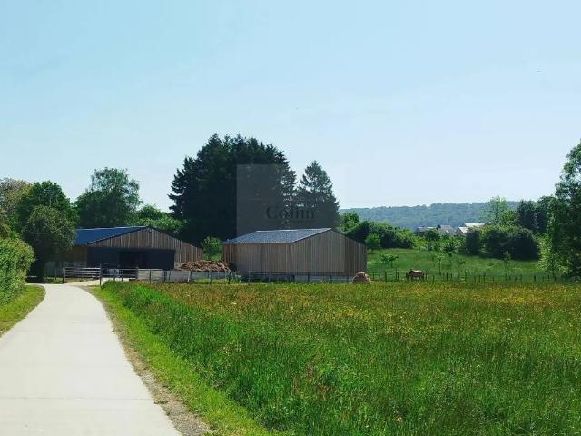Château vente à Mi, Wallonie