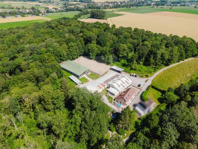 Château vente à Barbencon, Wallonie