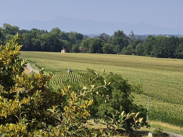 Maison vente à Mirande, Ponsan-soubiran