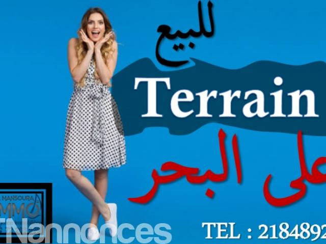 Terrain vente