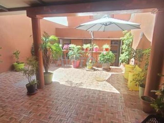 Appartement vente