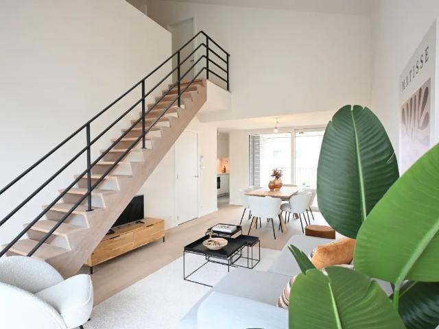 Duplex vente à Gavere, Oost-Vlaanderen