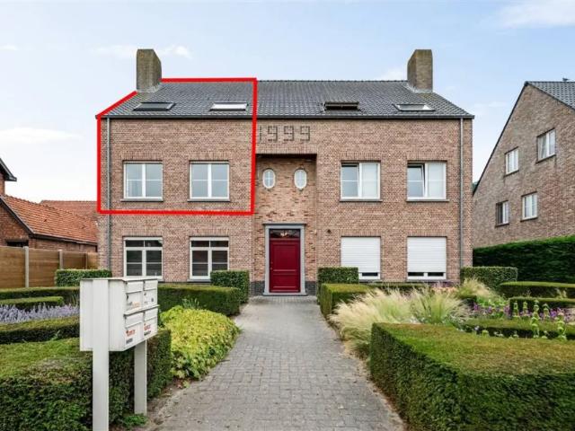 Duplex vente à Hoogstraten, Antwerpen