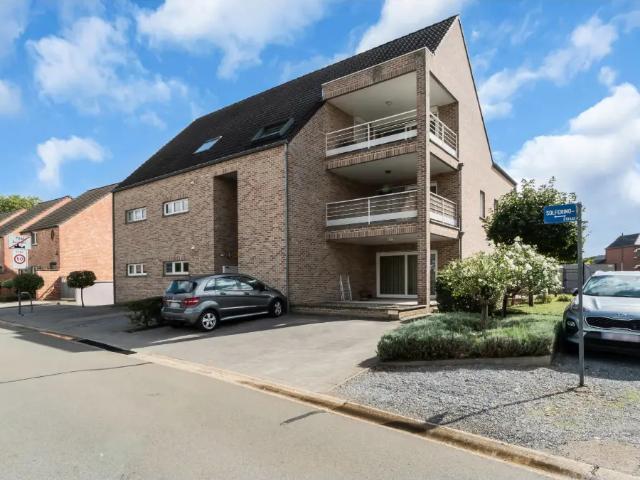 Duplex vente à Beringen, Limburg