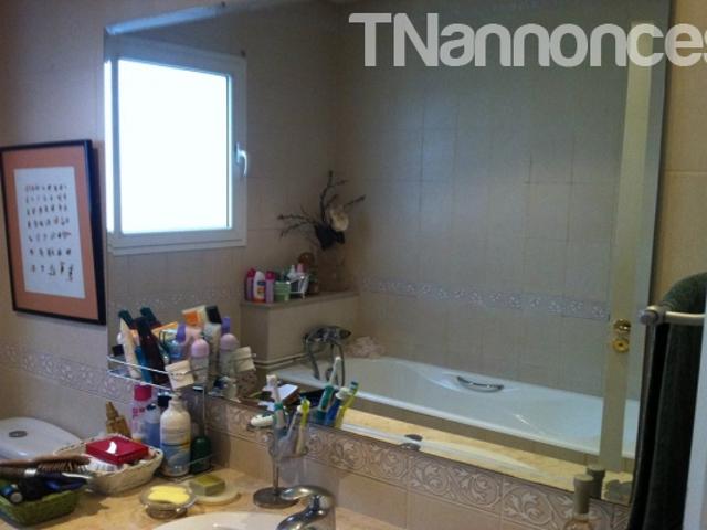 Appartement vente