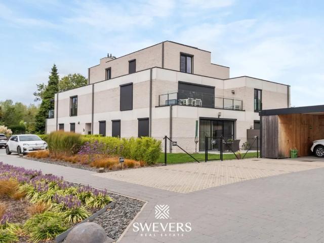 Duplex vente à Wellen, Limburg