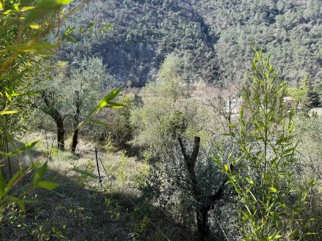 Terrain vente à Nice, L'escarène