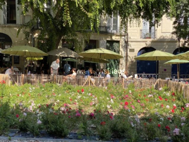 Local Commercial vente à Montpellier
