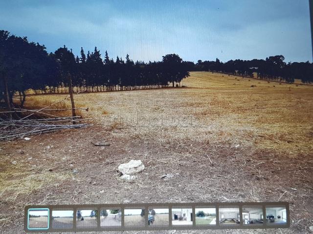 Ferme vente à El Ma, Gharb-Chrarda-Beni Hssen