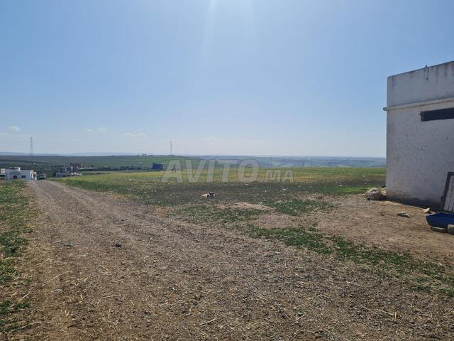 Propriété vente à Slimane, Gharb-Chrarda-Beni Hssen