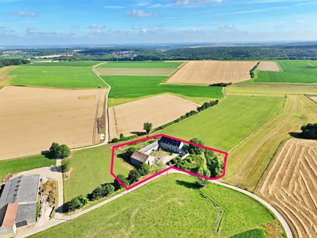 Ferme vente à Acoz, Wallonie