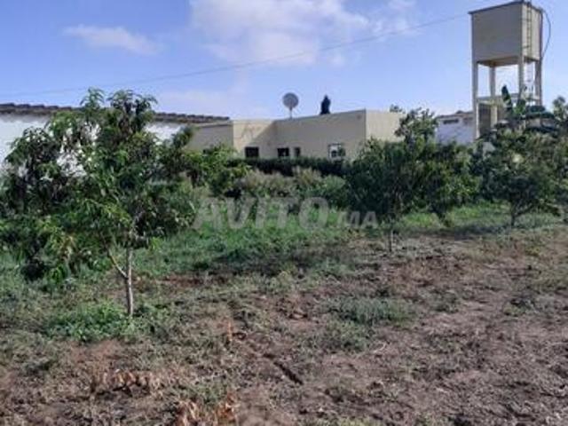 Propriété vente à Rbat