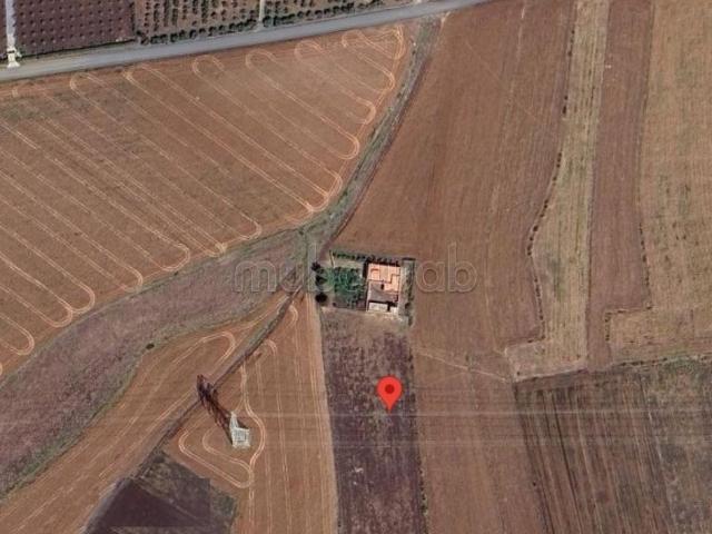 Ferme vente à Ziaida, Gharb-Chrarda-Beni Hssen