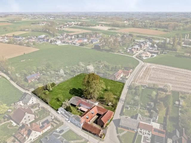 Ferme vente à Zegelsem, Oost-Vlaanderen