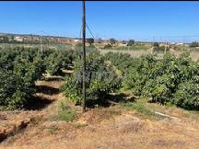 Propriété vente à Lyautey