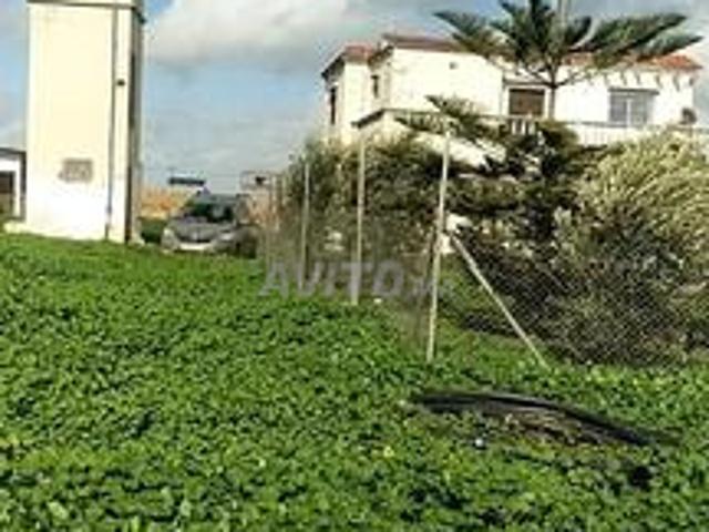 Propriété vente à El Ma, Gharb-Chrarda-Beni Hssen