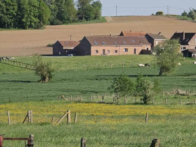 Ferme vente à Galmaarden, Brabant