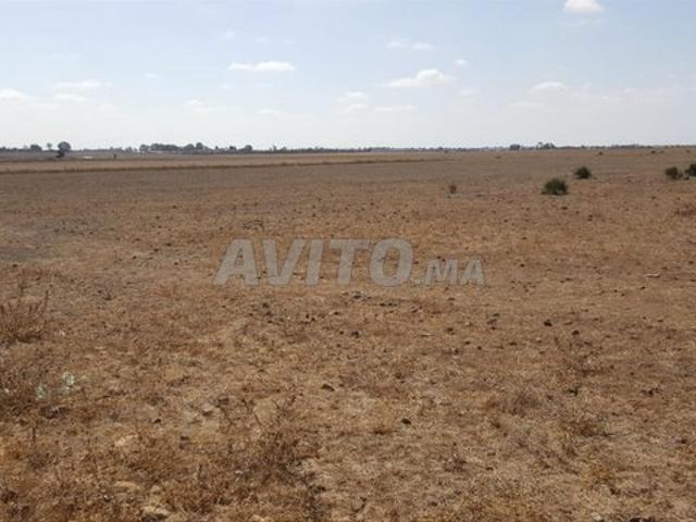 Propriété vente à Gharb-Chrarda-Beni Hssen