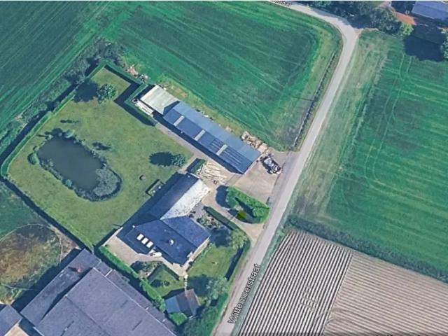 Ferme vente à Beernem, West-Vlaanderen