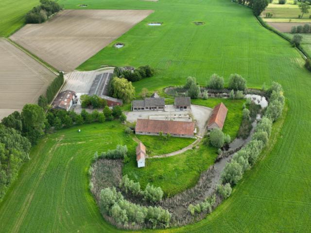 Ferme vente à Dentergem, West-Vlaanderen