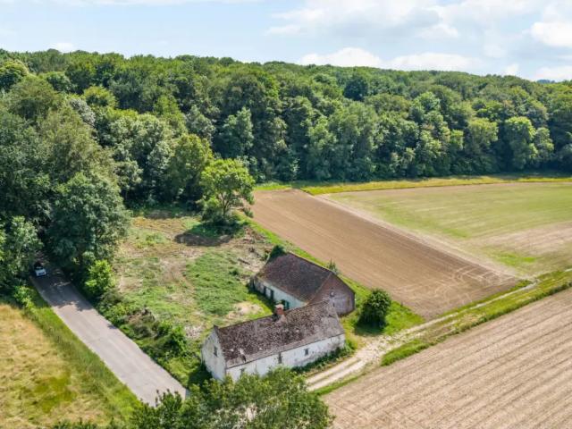 Ferme vente à Grammont, Oost-Vlaanderen