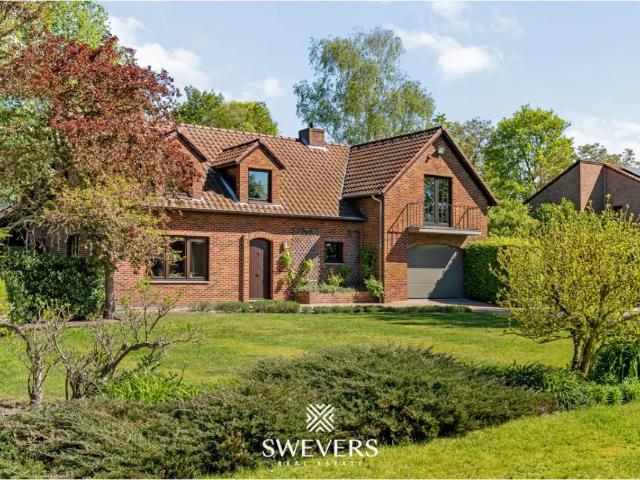 Chalet vente à Hasselt, Limburg