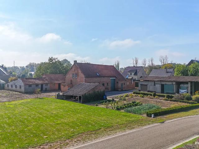 Ferme vente à Heusden-zolder, Limburg