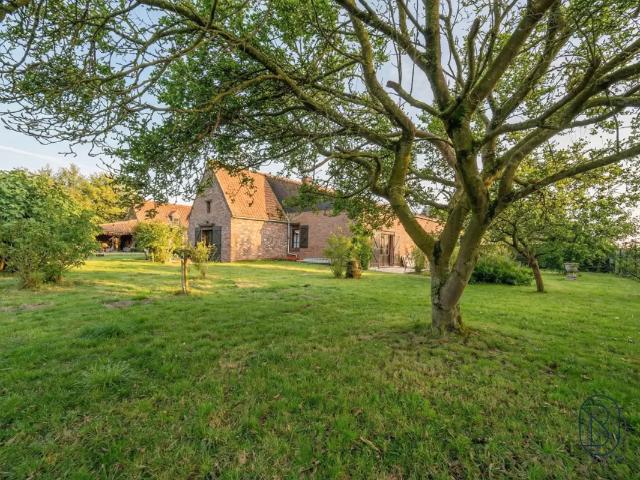 Ferme vente à Montroeul, Wallonie
